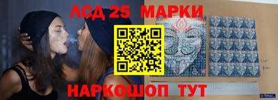 СК Сланцы