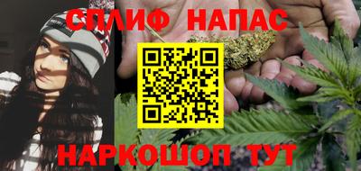 СК Сланцы