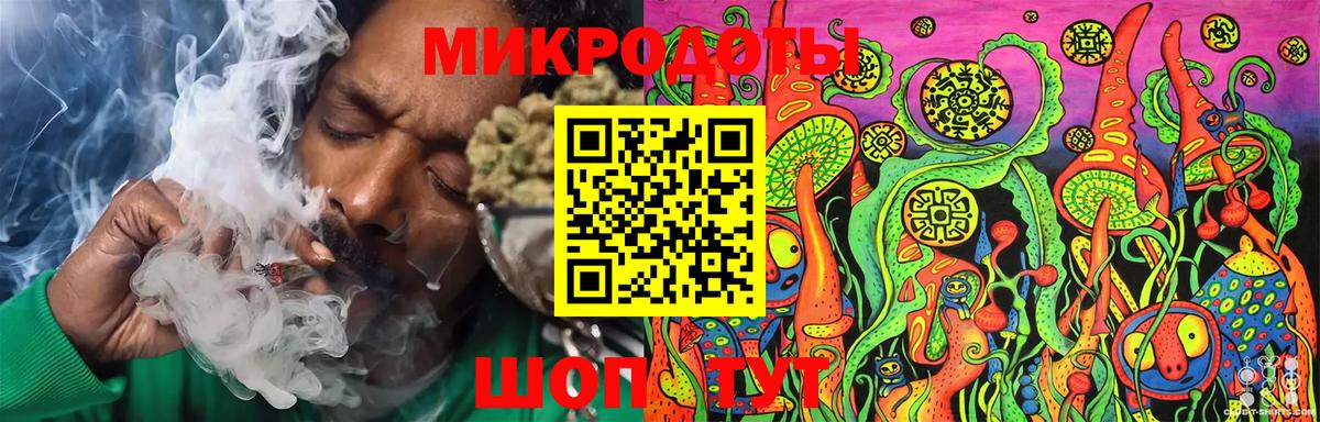 Галлюциногенные грибы Cubensis Мурманск